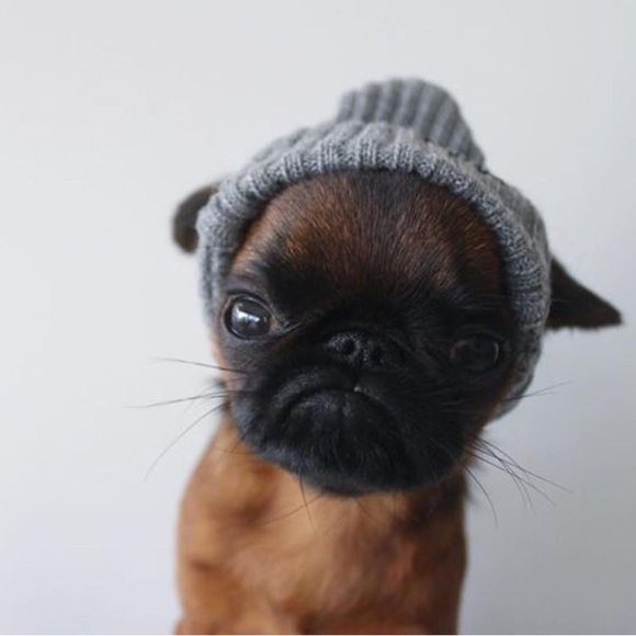 Meet your Posher, Jen - Picture 1 of 1